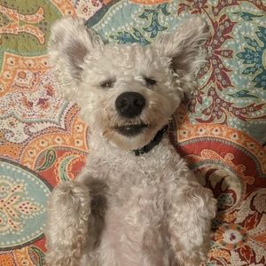 Meet your Posher, Laura